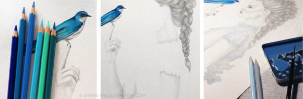Aggiungere colore ai disegni uccellino azzurro