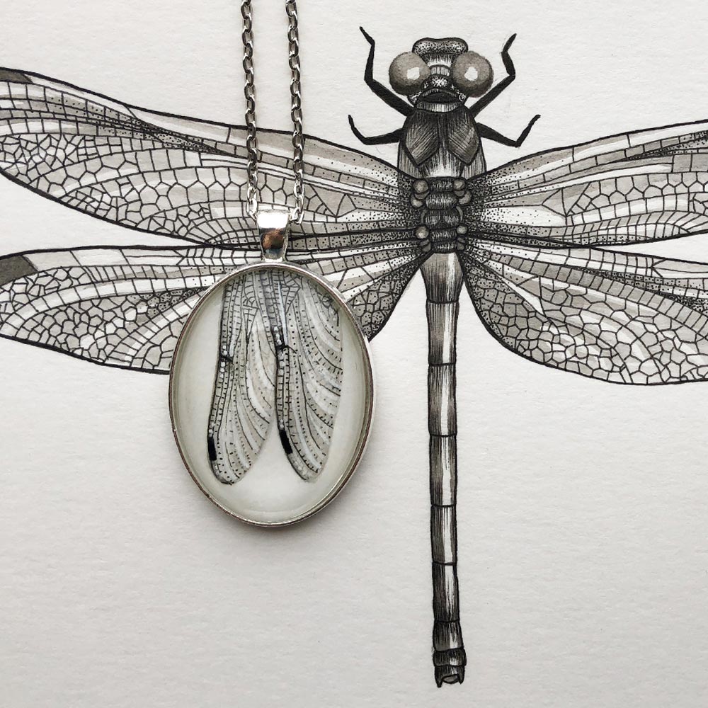 Gioiello collana con ali di libellula disegnate a mano