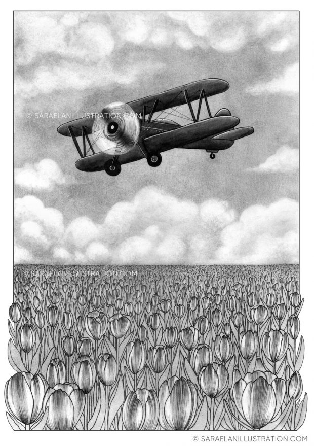 Deus ex Machina -illustrazioni di paesaggi naturali con mezzi di trasporto dei primi del 900 - biplano in volo su campo di tulipani