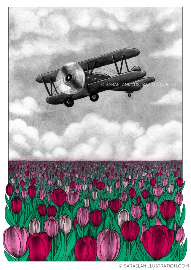 Deus ex Machina -illustrazioni di paesaggi naturali con mezzi di trasporto dei primi del 900 - aereo in volo su campo di tulipani rosa
