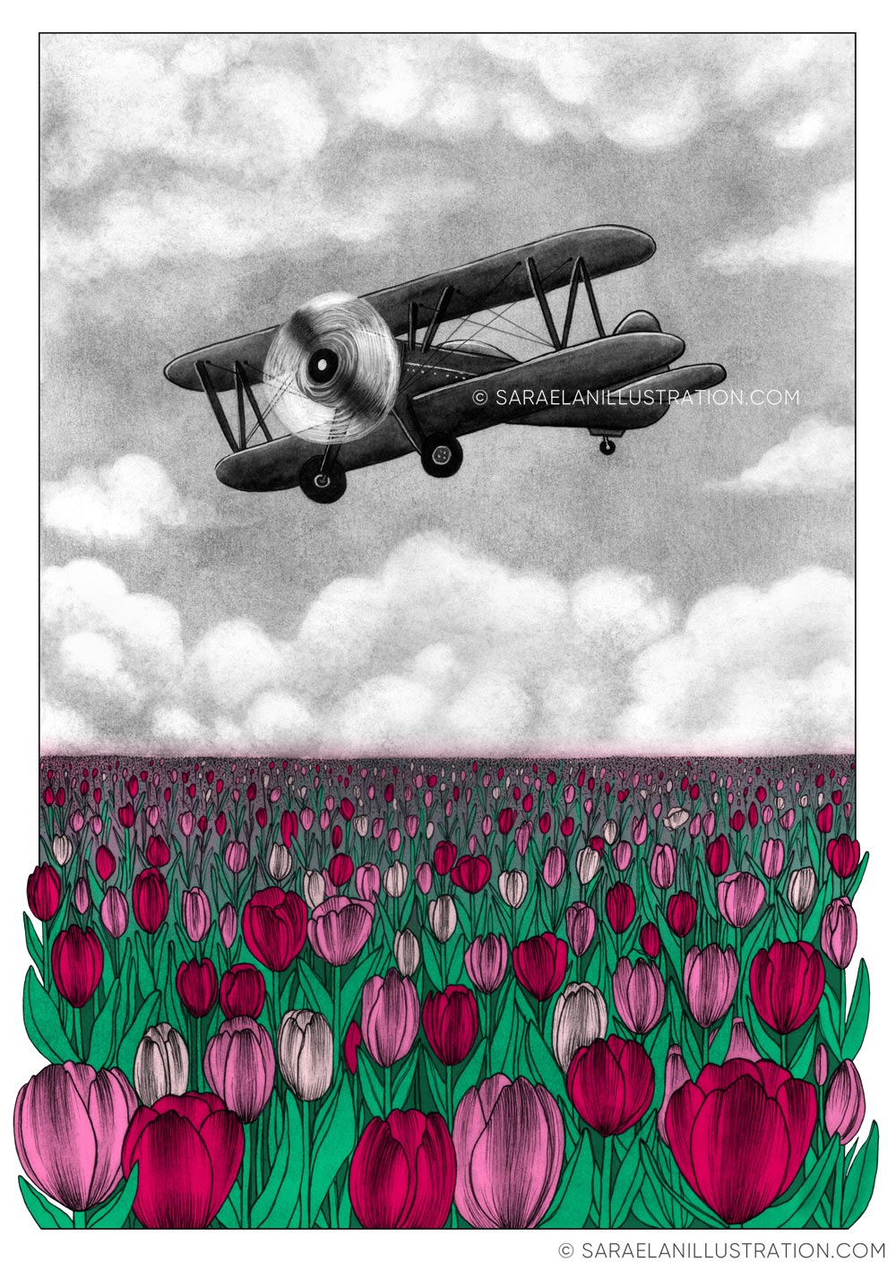 Deus ex Machina -illustrazioni di paesaggi naturali con mezzi di trasporto dei primi del 900 - aereo in volo su campo di tulipani rosa