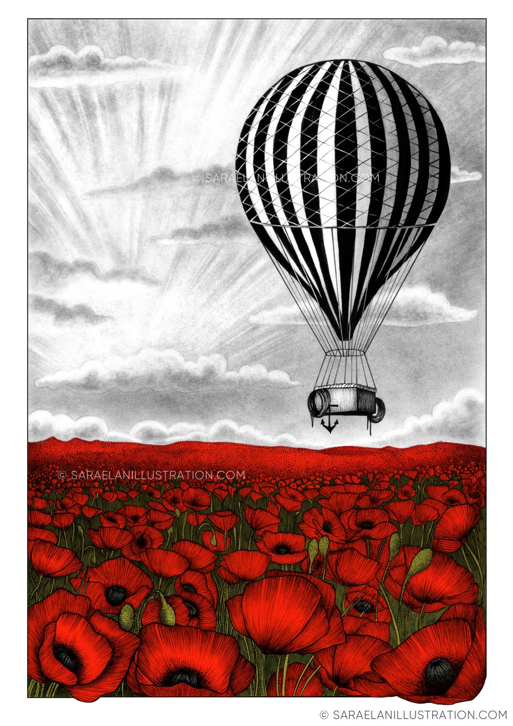 Deus ex Machina -illustrazioni di paesaggi naturali con mezzi di trasporto dei primi del 900 - mongolfiera a strisce con papaveri rossi