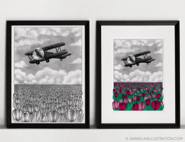 Stampa in bianco e nero e a colori di un aeroplano vintage in volo su un campo di tulipani