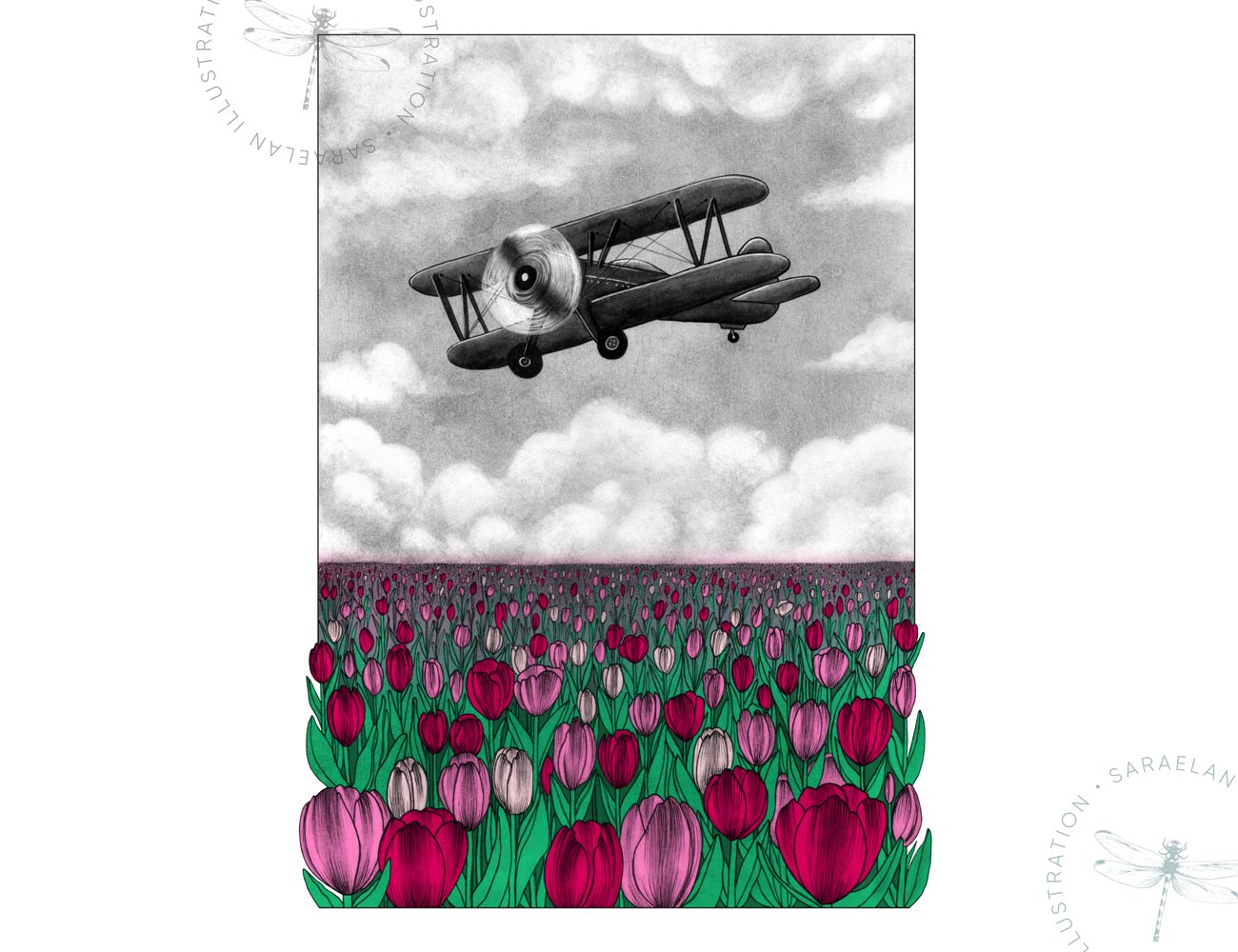 Deus ex Machina illustrazioni di paesaggi e mezzi di trasporto del 1900 a colori - aeroplano monoposto su campo di papaveri rosa
