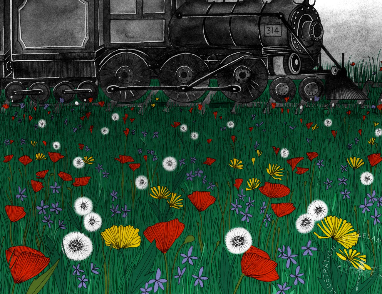 Deus ex Machina illustrazioni di paesaggi e mezzi di trasporto del 1900 a colori - treno con locomotiva a vapore in viaggio in un campo di fiori