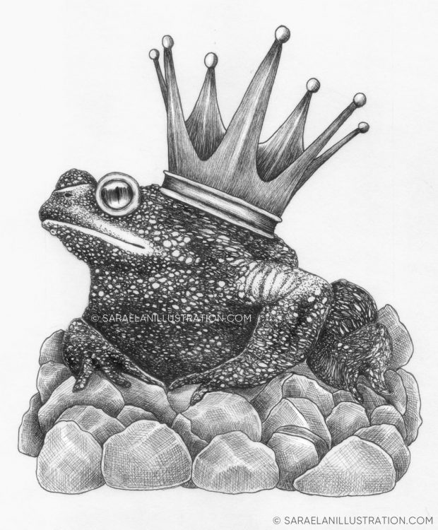 Disegni Inktober 2023 giorno 8 TOAD - disegno in inchiostro di un rospo con la corona da principe