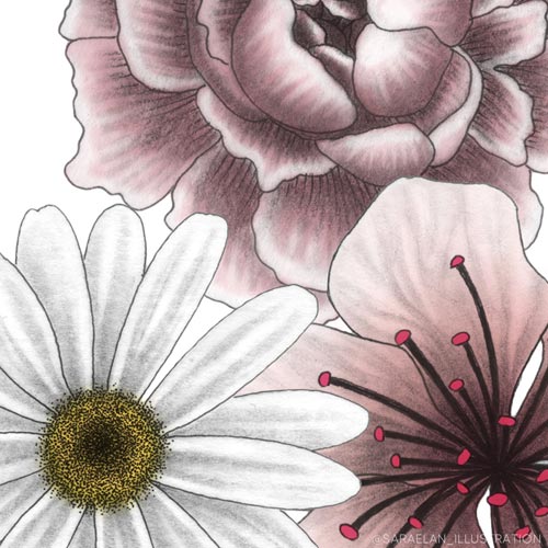 Disegni di fiori per grafiche Instagram