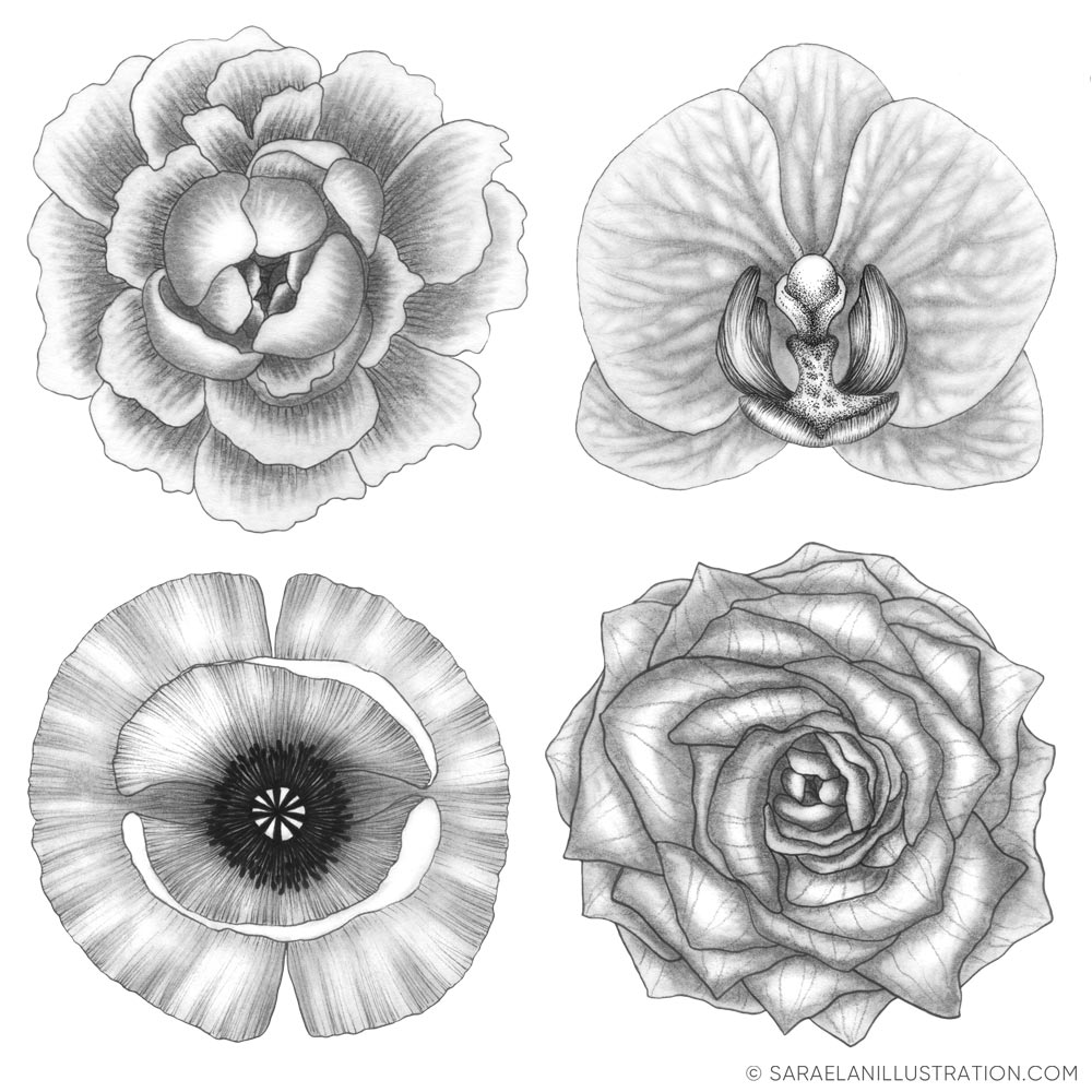 Disegni di fiori in bianco e nero