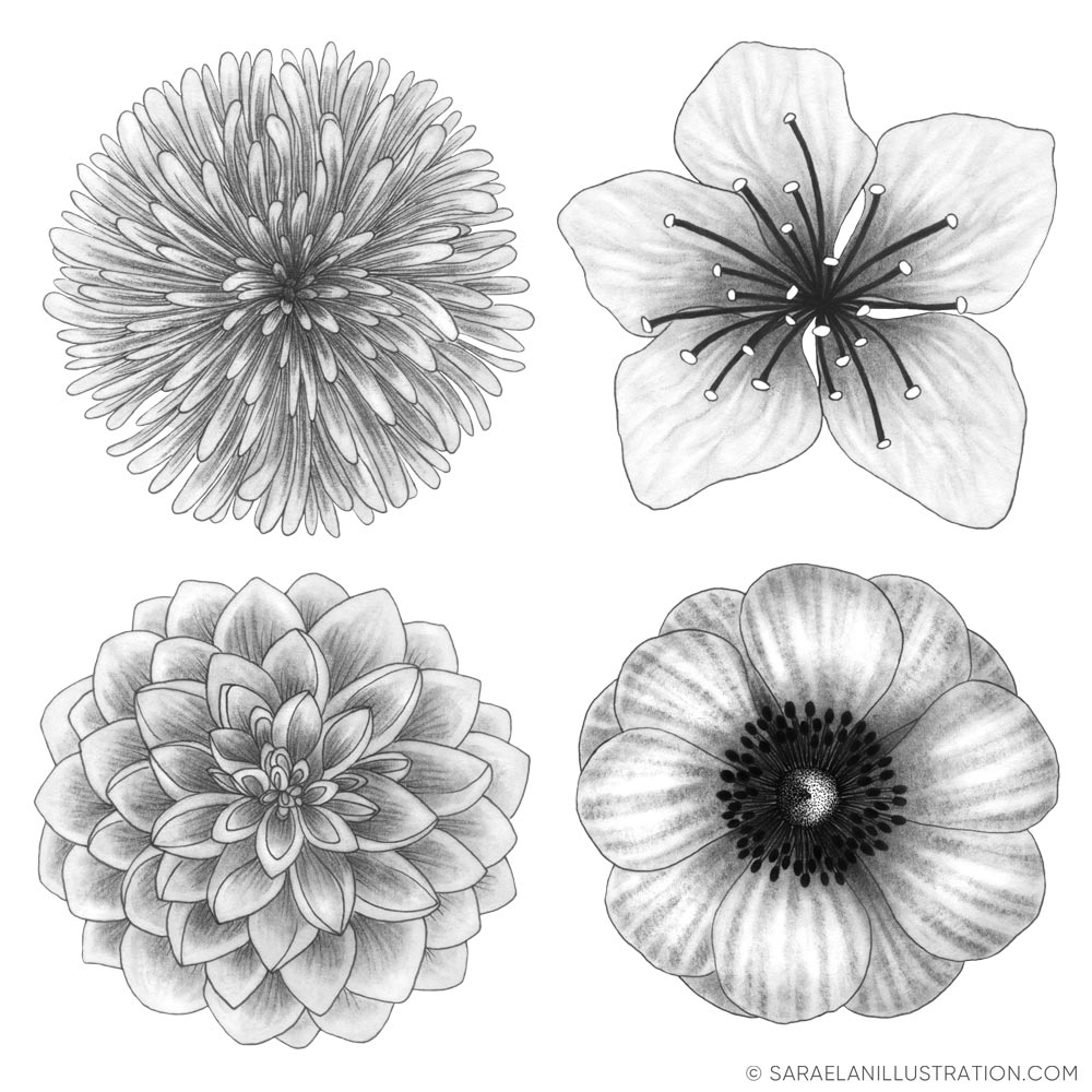Disegni di fiori in bianco e nero