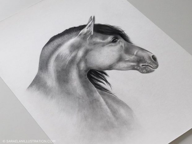 Disegno personalizzato di un cavallo a matita e grafite