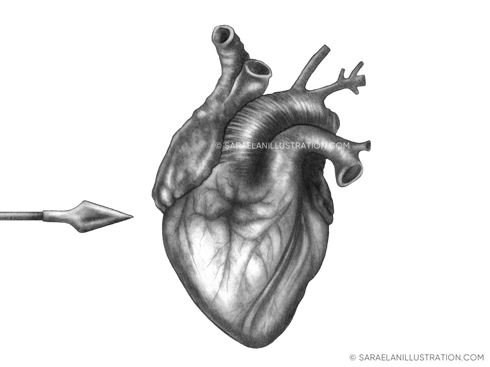 Disegno cuore anatomico con punta di una freccia
