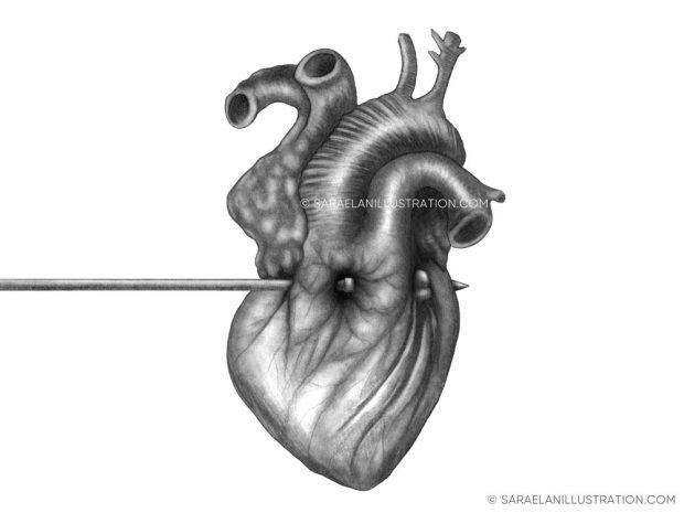 Disegno cuore anatomico trafitto da una freccia
