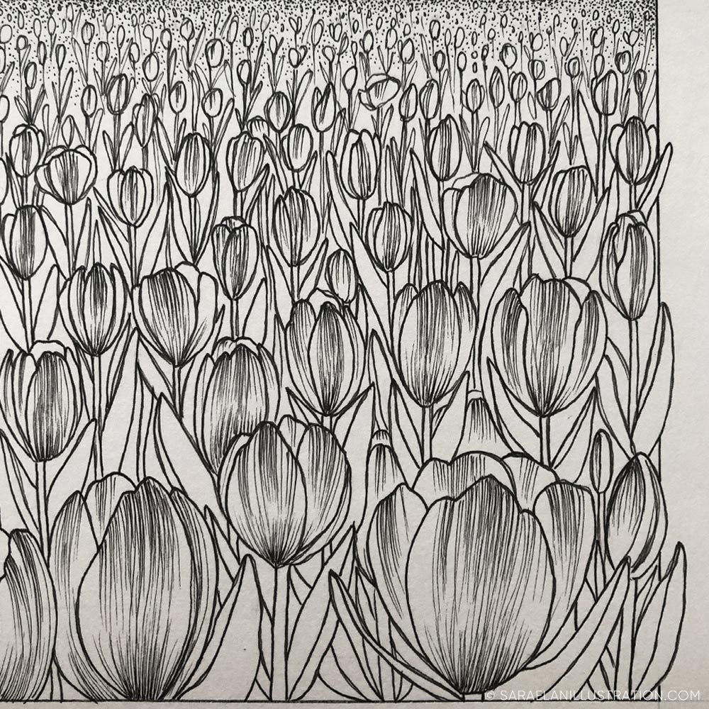 Disegno tulipani con fineliner