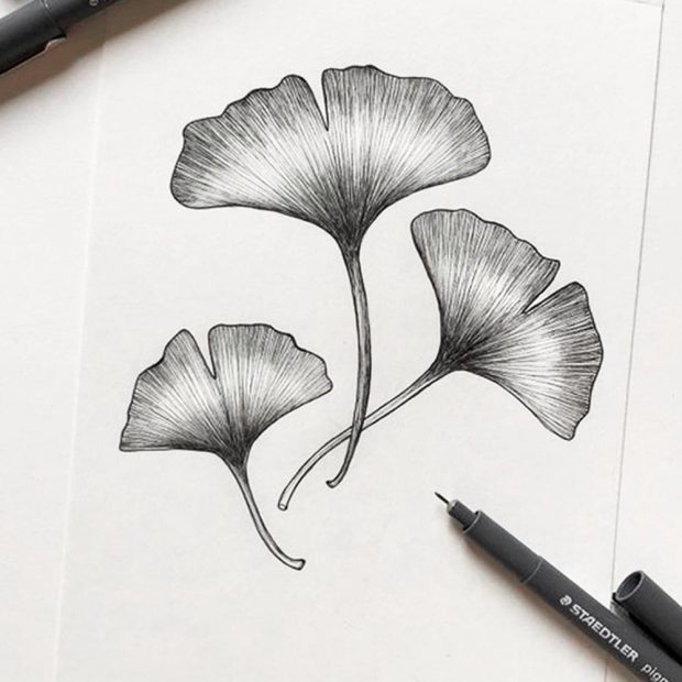 Disegno e significato del Ginkgo Biloba