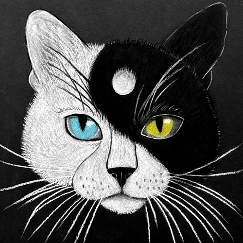 Disegno gatto tao con muso metà bianco e metà nero come yin e yang
