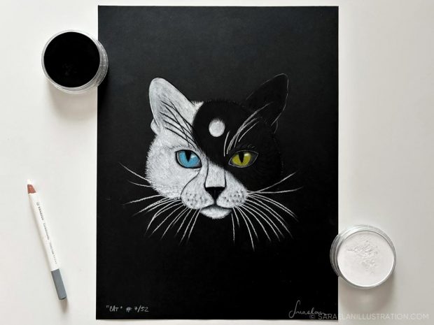 Disegno in pastello di gatto TAO Yin e Yang con muso metà bianco e metà nero come