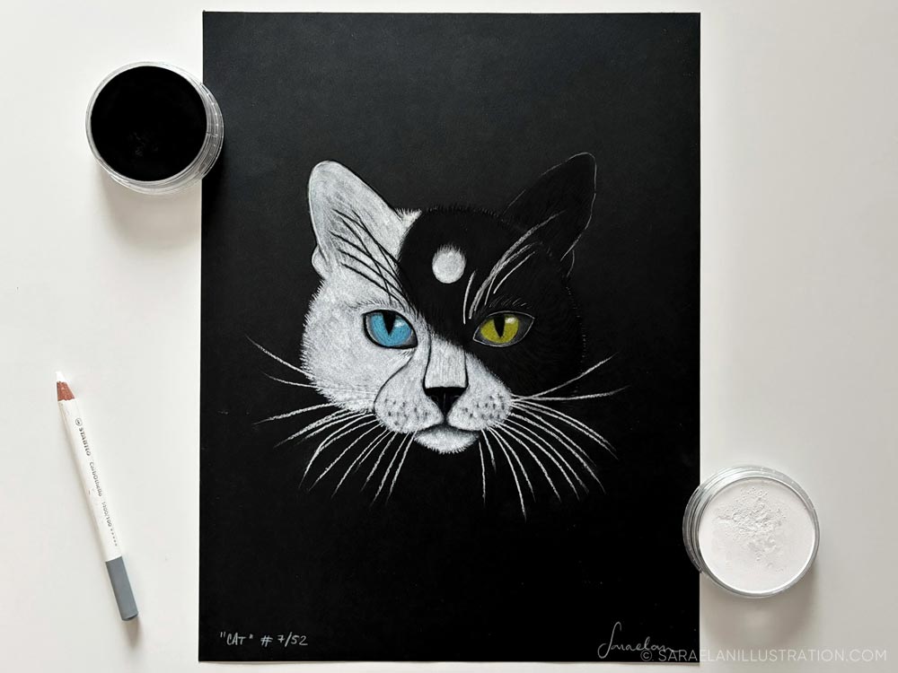 Disegno in pastello di gatto TAO Yin e Yang con muso metà bianco e metà nero come