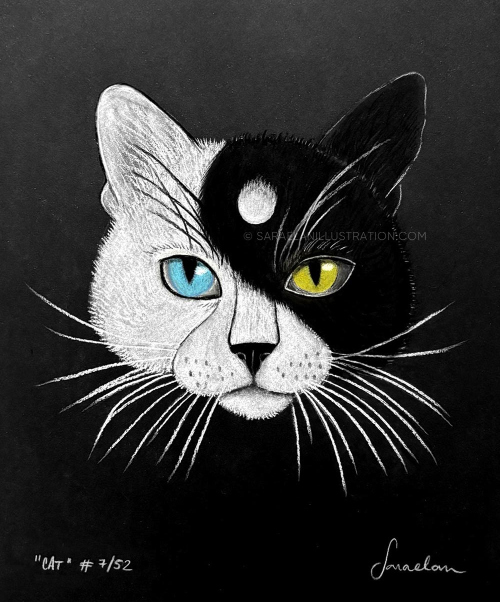Disegno gatto tao con muso metà bianco e metà nero come yin e yang