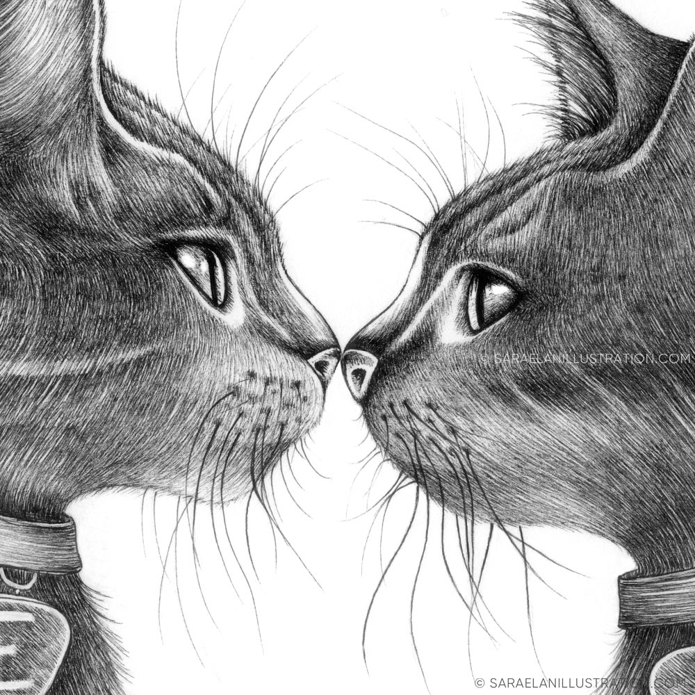 Disegno personalizzato coppia di gatti che si baciano
