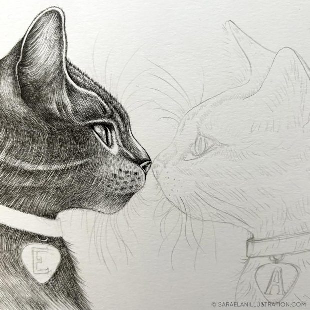 Disegno personalizzato coppia di gattini innamorati