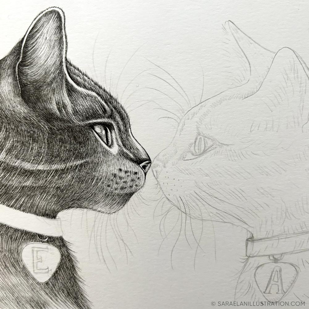 Disegno personalizzato coppia di gatti