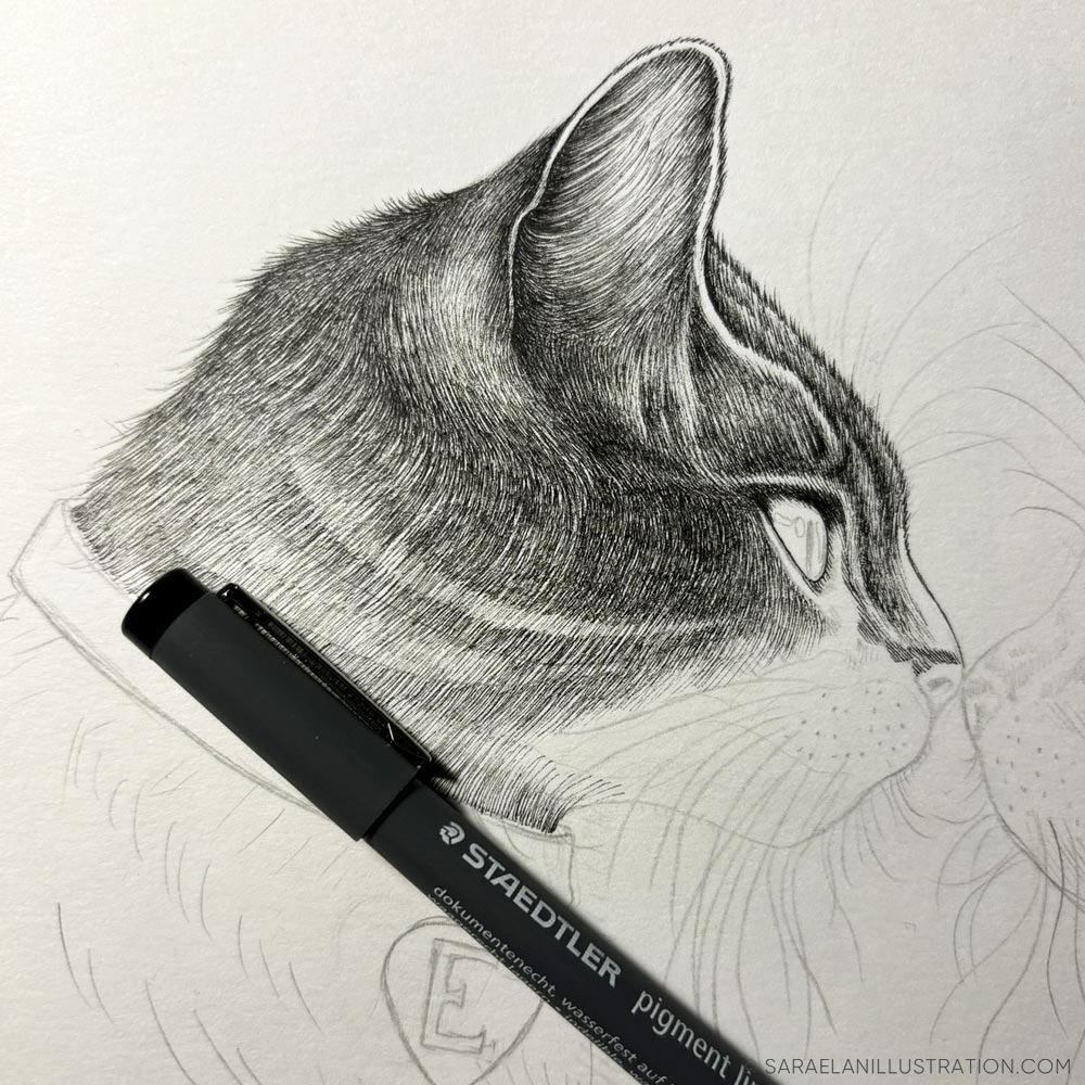 Disegnare un gatto in inchiostro e tratteggio