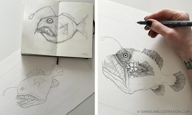 Bozze pesce degli abissi con lanterna