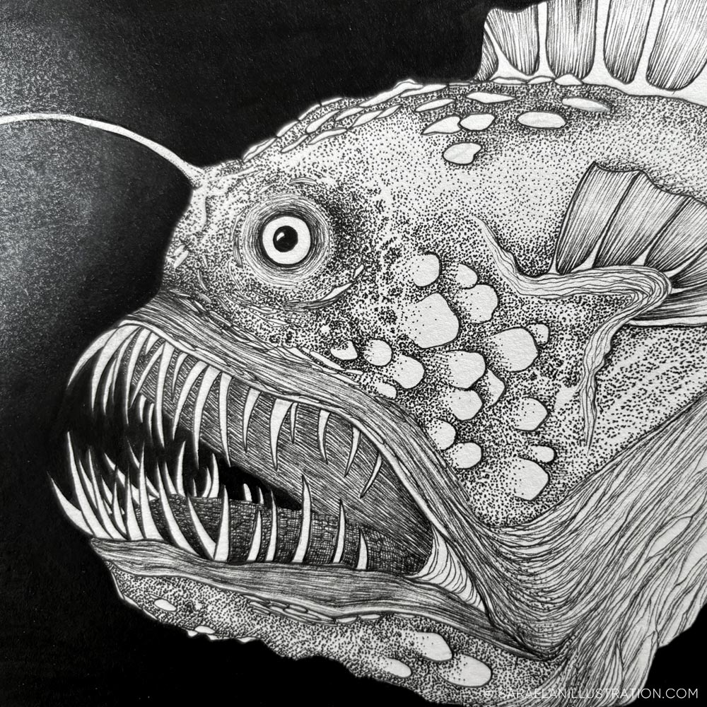 Disegno pesce abissale con luce lanterna in inchiostro e dotwork