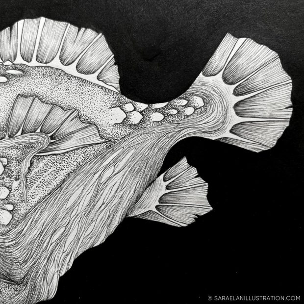 Pesce degli abissi in inchiostro e dotwork