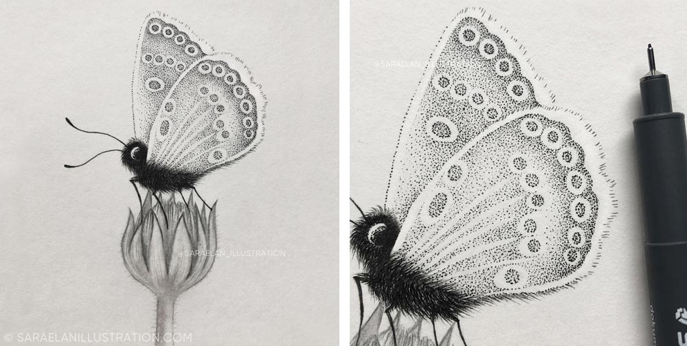 Disegni di farfalle con ali fatte di puntini di inchiostro e tecnica dotwork
