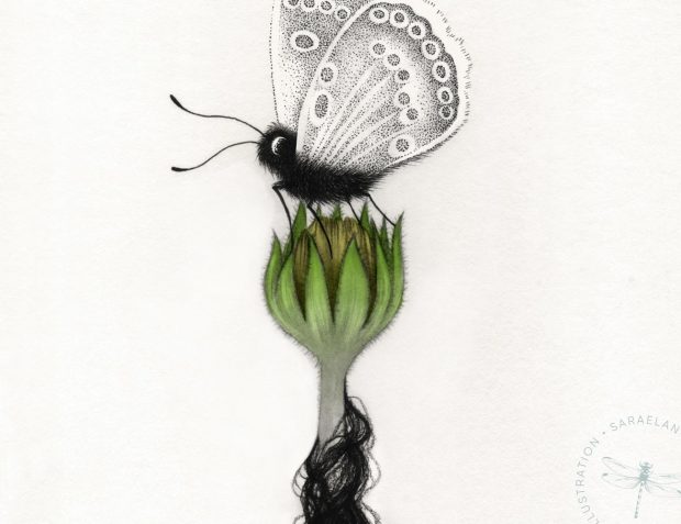 Equilibrium di Sara Elan Donati - disegni di farfalle in equilibrio in inchiostro e dotwork