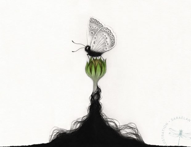 Equilibrium di Sara Elan Donati - disegni di farfalle in equilibrio in inchiostro e dotwork