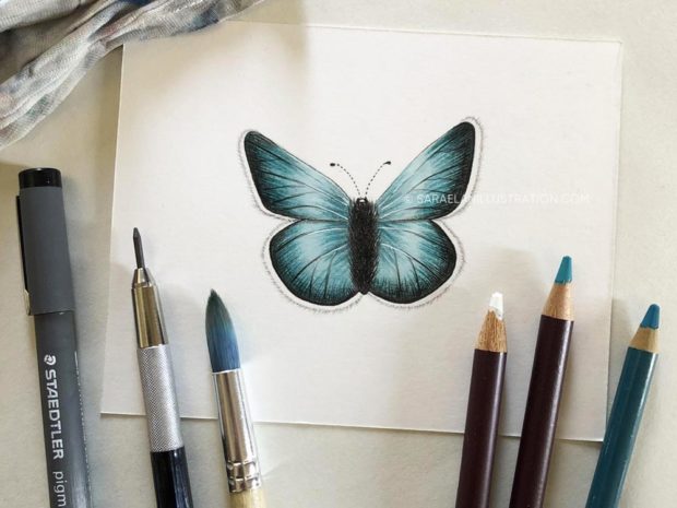 Disegnare farfalle in modi diversi farfalla disegnata con tecniche miste