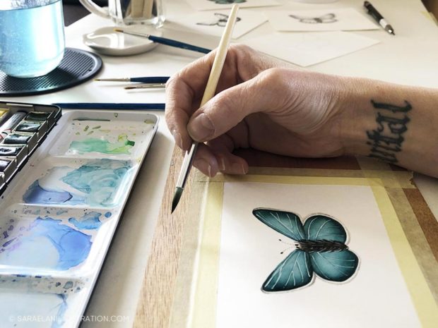 Disegnare farfalle in modi diversi farfalla disegnata con acquerello