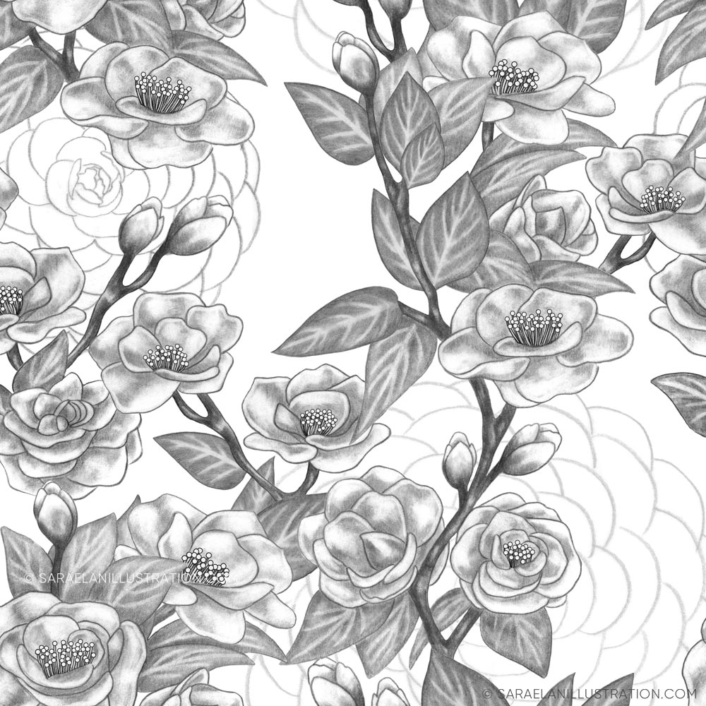 Illustrazione con rami di camelia per pattern personalizzato