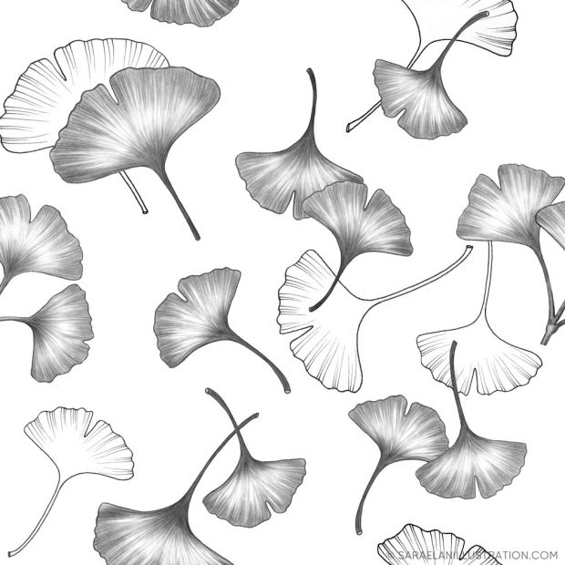 Illustrazioni di foglie di ginkgo biloba per pattern personalizzato