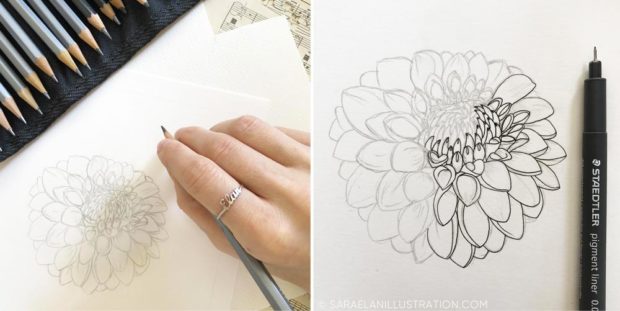 Disegnando un fiore di dalia