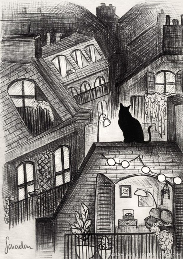 Tetti di Parigi con gatto nero - Disegni a penna Inktober 2021 giorno 13 ROOF