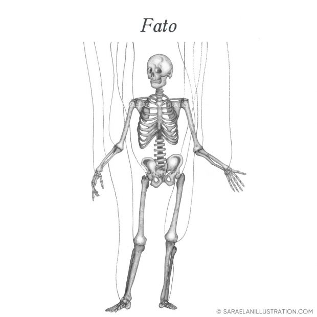 Lezioni di Anatomia - metafora del fato e destino