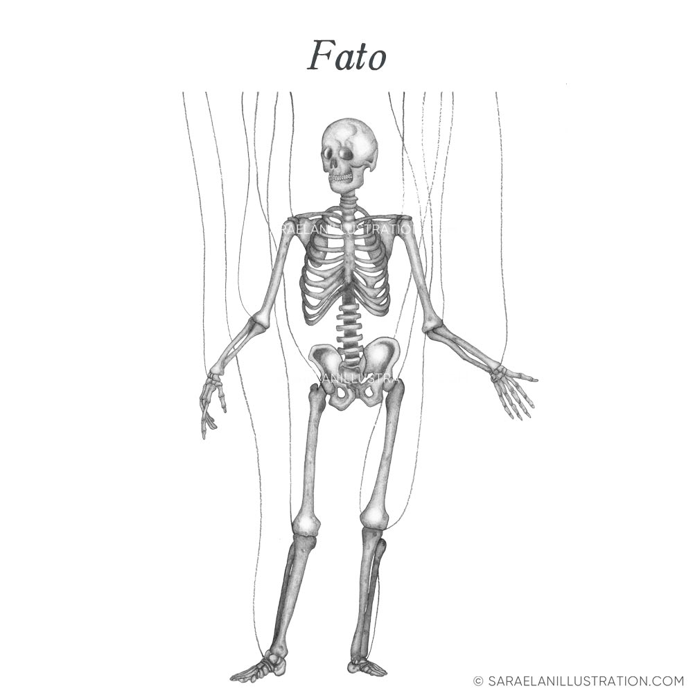 Lezioni di Anatomia - metafora del fato e destino