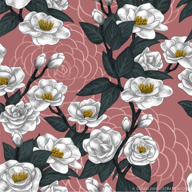 Illustrazione personalizzata per pattern con rami di camelia con fiori bianchi su sfondo rosa antico