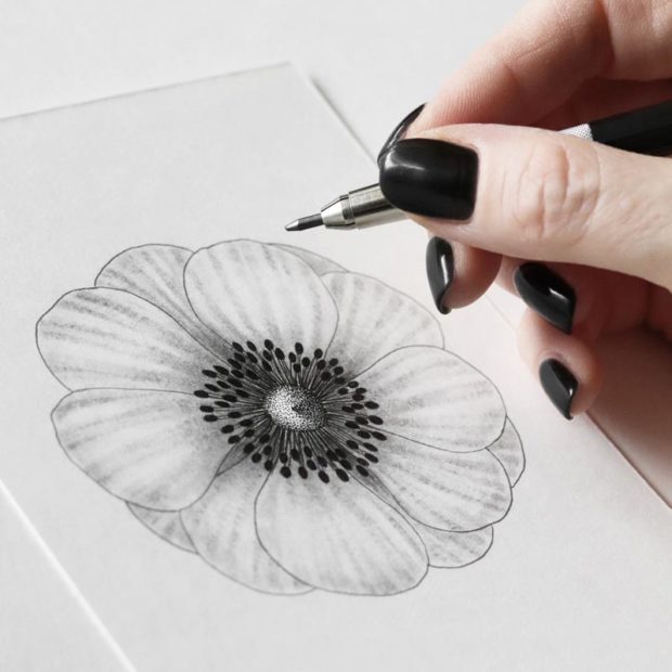Sara Elan Donati - Saraelan illustration - disegnando un fiore