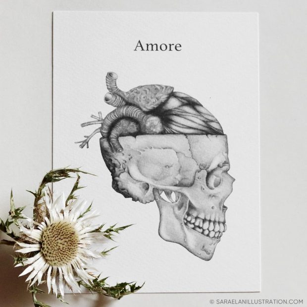 Stampa anatomica metafora dell'amore