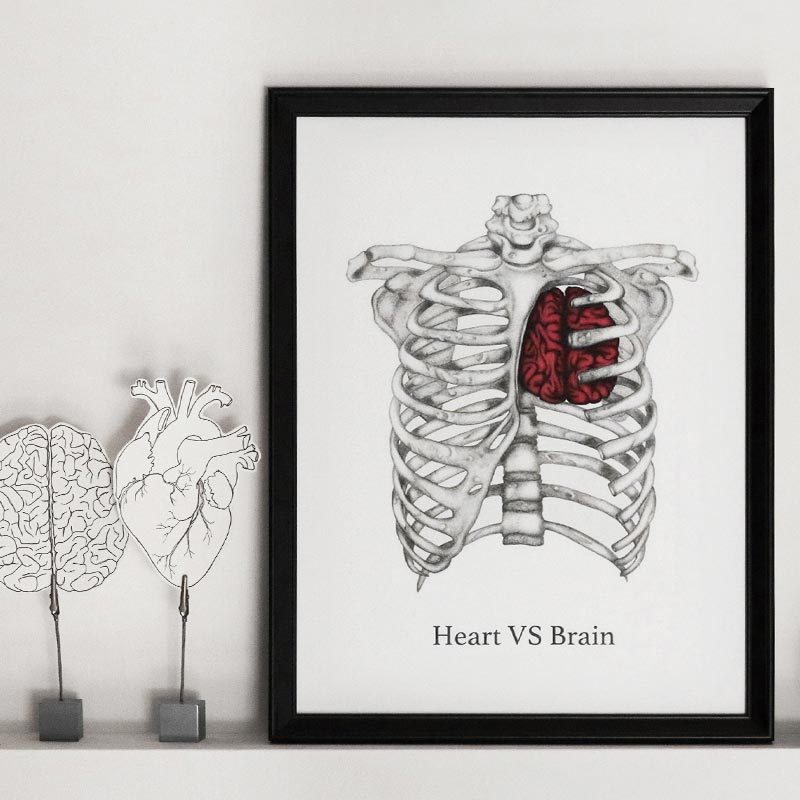 Sara Elan Donati - Saraelan illustration - stampa anatomica cuore e cervello