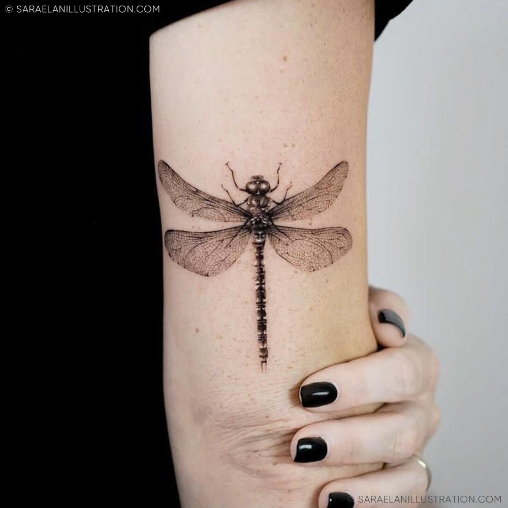 Tatuaggio libellula