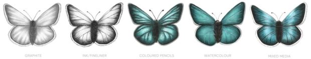 Farfalle disegnate con tecniche diverse