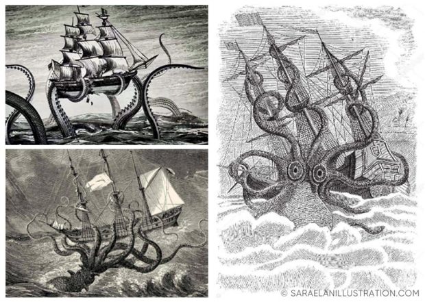 Vecchie illustrazioni litografie di polpi giganti