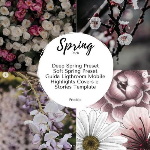 Freebie di primavera con grafiche floreali per le storie in evidenza
