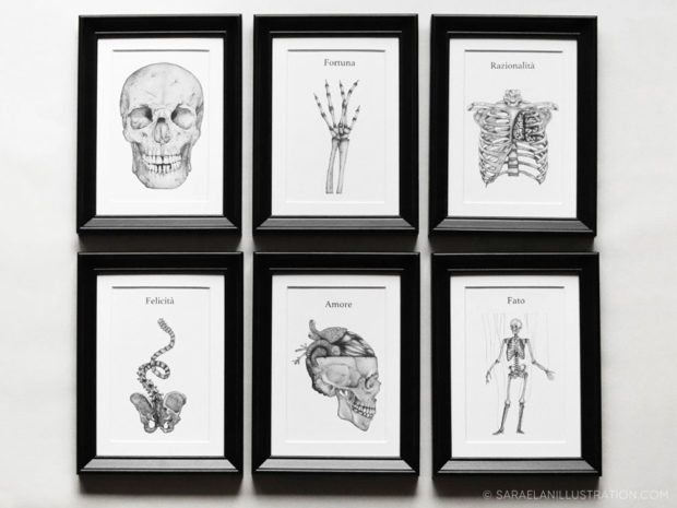 Stampe con illustrazioni anatomiche per composizione con tante piccole cornici